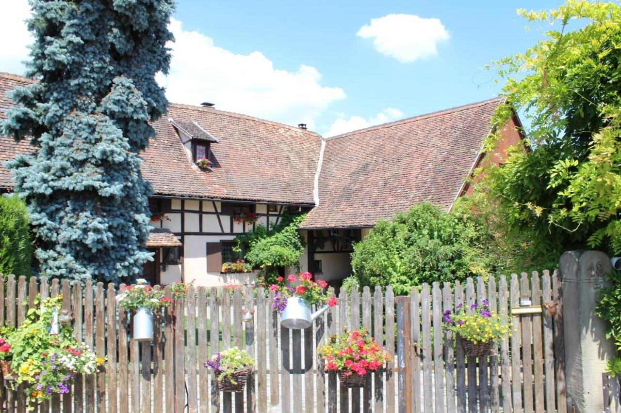 B&B La Tete Dans Les Etoiles Weyersheim Екстериор снимка